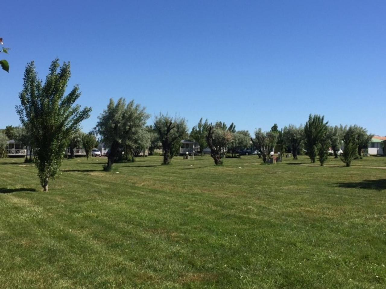 Saint-Denis-dʼOléron Camping Phare Ouest מראה חיצוני תמונה